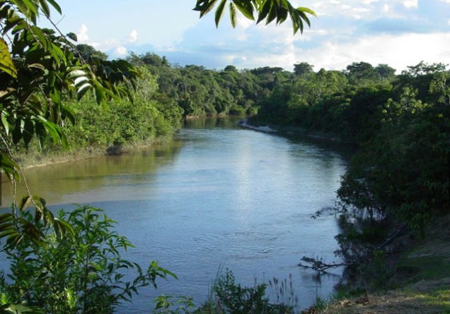 O Parque Nacional do Divisor, no extremo oeste brasileiro, foi criado em 1989 e é considerado uma