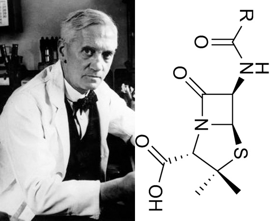 PENICILINA (1928) - O médico Alexander Fleming foi o responsável por descobrir este antibiótico natural. A identificação da penicilina proveu grandes contribuições à sociedade da época, que sofria com doenças infeciosas de origens bacterianas.