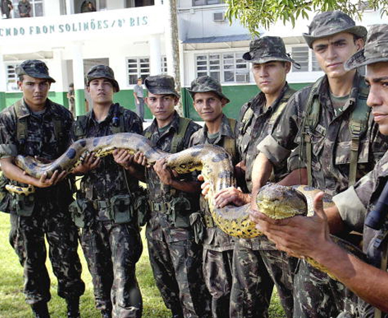 SUCURI (Eunectes Boidai) - É a maior serpente do mundo. Pode chegar a 250 quilos.