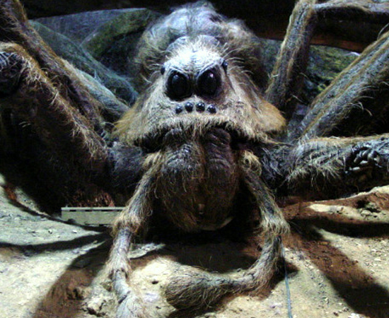 Em Harry Potter e a Câmara Secreta (2002), Rony e Harry encontram a gigantesca aranha Aragogue na Floresta Proibida. Em Harry Potter e a Câmara Secreta (2002), Rony e Harry encontram a gigantesca aranha Aragogue na Floresta Proibida.