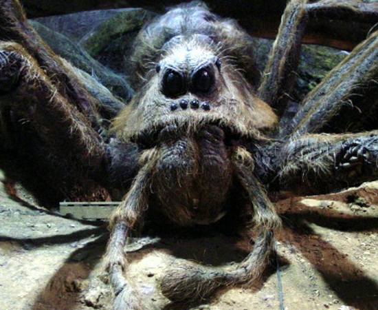 Em Harry Potter e a Câmara Secreta (2002), Rony e Harry encontram a gigantesca aranha Aragogue na Floresta Proibida.