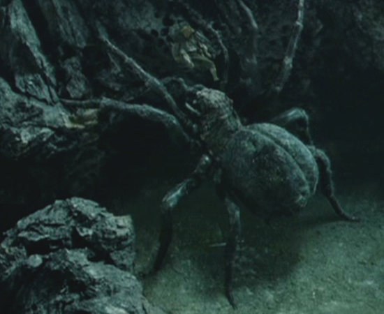 A aranha Shelob (ou Laracna) aparece em O Senhor dos Anéis - O Retorno do Rei (2003), dirigido por Peter Jackson. Ela ataca Sam Gamgee enquanto Frodo está preso na teia. A aranha Shelob (ou Laracna) aparece em O Senhor dos Anéis - O Retorno do Rei (2003), dirigido por Peter Jackson. Ela ataca Sam Gamgee enquanto Frodo está preso na teia.