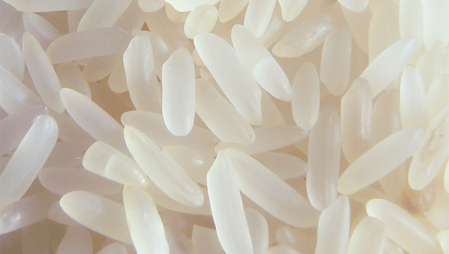 Arroz Arroz