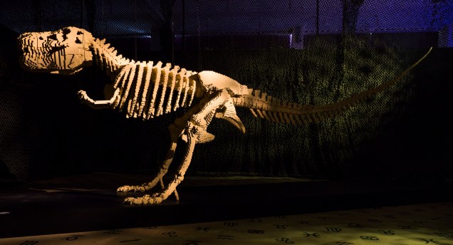 <em>Dinosaur</em> (dinossauro) é um tiranossauro rex de 80 mil peças que demorou um verão inteirinho para ficar pronto. A ideia era criar uma obra voltada especialmente para as crianças - e deu certo: uma das coisas favoritas de Nathan em uma exposição é ver a cara de surpresa dos pequenos enquanto observam o gigante de LEGO de 6 metros de comprimento.