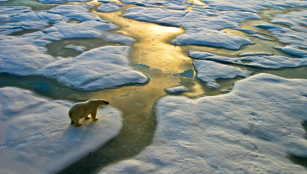 As próximas catástrofes que a humanidade pode enfrentar - Mudanças climáticas