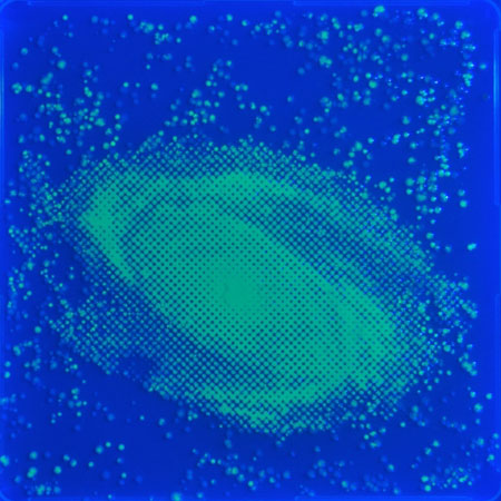 Estas últimas imagens foram feitas com placasa de <i>E. coli</i> geneticamente modificadas para ficarem bioluminescentes.