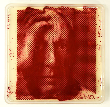 A foto de Pablo Picasso na placa de Petri também foi feita a partir da <i>Serratia Marsescens</i>.