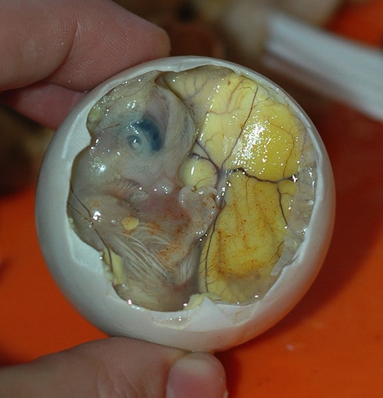 Filipinas: o ovo de pato fertilizado é comido na própria casca. A iguaria é considerada deliciosa pelos filipinos, mas apenas os mais corajosos dos ocidentais conseguem encará-la.