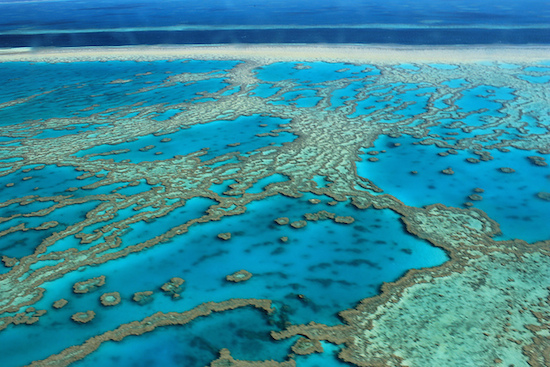 A Grande Barreira de Corais, na Austrália e Papua-Nova Guiné, é conhecida por ser a maior estrutura construída por organismos vivos. Ao todo, são quase três mil recifes, 60 ilhas e 100 atóis. A Grande Barreira de Corais, na Austrália e Papua-Nova Guiné, é conhecida por ser a maior estrutura construída por organismos vivos. Ao todo, são quase três mil recifes, 60 ilhas e 100 atóis.