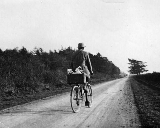 Década de 1900 - MEIO DE TRANSPORTE: Surgem os primeiros modelos com freio, marchas e cubo com roda livre, que permite que a bicicleta continue em movimento quando o ciclista para de pedalar.