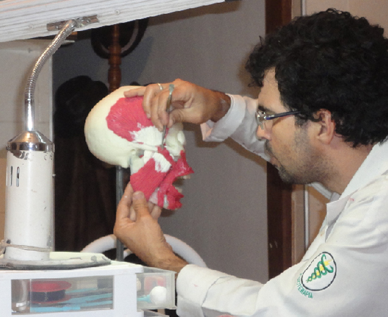 O fisioterapeuta Eliel Guimarães, de Taubaté (SP), tem um hobbie bem diferente. Ele faz réplicas de peças cadavéricas com Porcelana Fria Modificada. O fisioterapeuta Eliel Guimarães, de Taubaté (SP), tem um hobbie bem diferente. Ele faz réplicas de peças cadavéricas com Porcelana Fria Modificada.