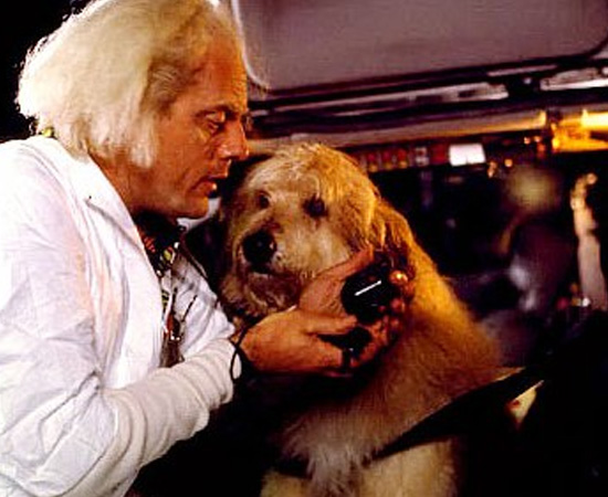 O cachorro que vemos dentro do DeLorean, na verdade é um humano fantasiado de cachorro! Apenas as cenas em close são do animal de verdade.