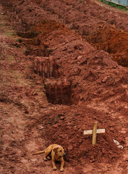 Este é o cachorro Leon, flagrado pelo segundo dia consecutivo no túmulo do seu dono, morto num desastroso deslizamento de terra no estado do Rio de Janeiro.