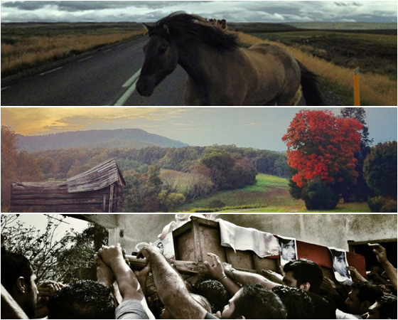 Basta um bom celular na mão, um olhar apurado e muita criatividade para conseguir tirar fotos incríveis. Nessa galeria você confere imagens que provam essa teoria e servem de inspiração para a próxima vez que você for fotografar algo. Para ver todas as fotos selecionadas pelo prêmio, acesse o site www.ippawards.com Basta um bom celular na mão, um olhar apurado e muita criatividade para conseguir tirar fotos incríveis. Nessa galeria você confere imagens que provam essa teoria e servem de inspiração para a próxima vez que você for fotografar algo. Para ver todas as fotos selecionadas pelo prêmio, acesse o site www.ippawards.com