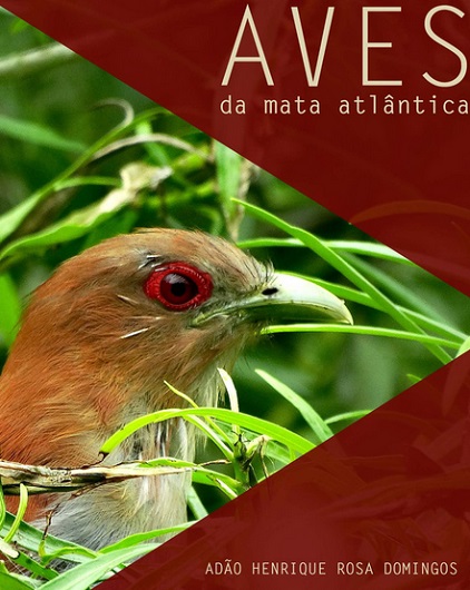 As fotos dessa galeria fazem parte do e-book multimídia Aves da Mata Atlântica, fruto de pesquisa realizada na Reserva Betary, área de 60 hectares de Mata Atlântica preservada, no município de Iporanga (SP). O material está disponível para iOS, Android e Desktop e é gratuito até o dia 10 de junho. Depois disso, passará a custar RS$ 19,90. Veja como acessar clicando no Leia Mais, aqui embaixo. As fotos dessa galeria fazem parte do e-book multimídia Aves da Mata Atlântica, fruto de pesquisa realizada na Reserva Betary, área de 60 hectares de Mata Atlântica preservada, no município de Iporanga (SP). O material está disponível para iOS, Android e Desktop e é gratuito até o dia 10 de junho. Depois disso, passará a custar RS$ 19,90. Veja como acessar clicando no Leia Mais, aqui embaixo.