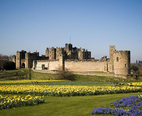 O Castelo de Alnwick é a residência do Duque de Northumberland. Localizada na Inglaterra, a construção medieval do ano 1096 já serviu como cenário para vários filmes, como Robin Hood e Harry Potter (já reparou nos detalhes de Hogwarts?). Ao redor do castelo, há um jardim com 170 km² de área e milhares de espécies de plantas. Lá, é possível encontrar de grama a pés de maconha.