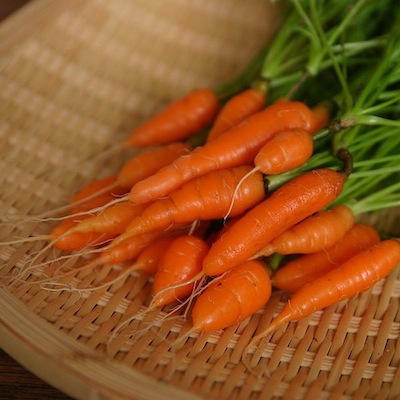Três casos incomuns e bizarros de vício em cenoura foram registrados no British Journal of Addiction. Em um deles, um homem de 40 anos trocou os cigarros pelo vegetal. Ele comia cerca de cinco cenouras inteiras por dia e não parava de pensar nelas. Para tratar o vício, ele retirou as cenouras do cardápio, mas apresentou um considerável aumento na irritabilidade. Três casos incomuns e bizarros de vício em cenoura foram registrados no British Journal of Addiction. Em um deles, um homem de 40 anos trocou os cigarros pelo vegetal. Ele comia cerca de cinco cenouras inteiras por dia e não parava de pensar nelas. Para tratar o vício, ele retirou as cenouras do cardápio, mas apresentou um considerável aumento na irritabilidade.