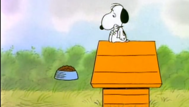 Snoopy Snoopy