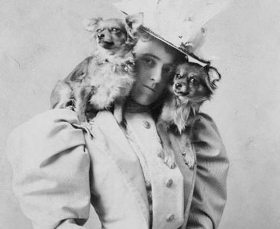 Edith Wharton equilibra seus dois cachorrinhos. Ela foi uma grande escritora americana. Ganhou o Pulitzer de 1921 pelo romance A Idade da Inocência.