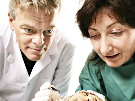 Já o Nobel de Medicina teve dois vencedores. Um deles foi o norueguês Edvard I. Moser. Já o Nobel de Medicina teve dois vencedores. Um deles foi o norueguês Edvard I. Moser.