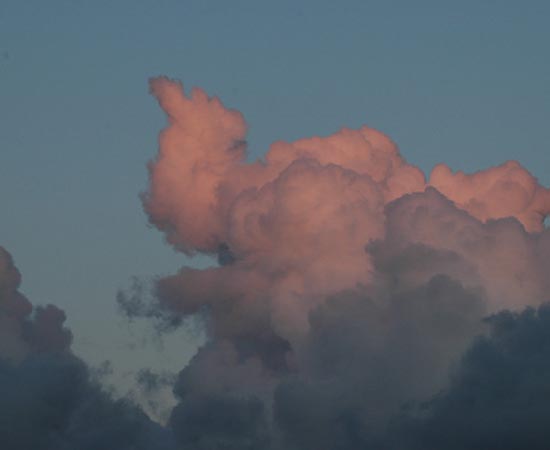 Já este elefante rosado brinca no céu da Holanda. Já este elefante rosado brinca no céu da Holanda.