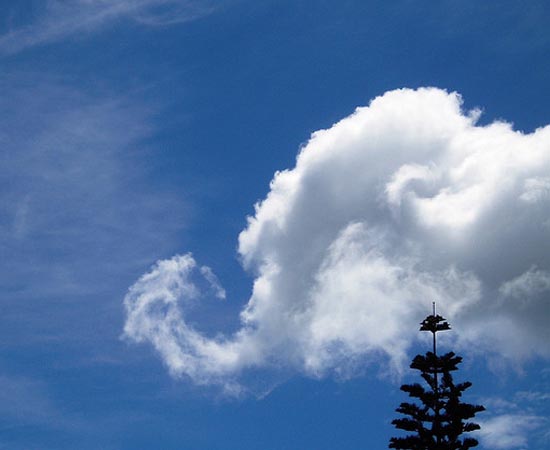 Nuvem com formato de cabeça de elefante clicada na Itália.