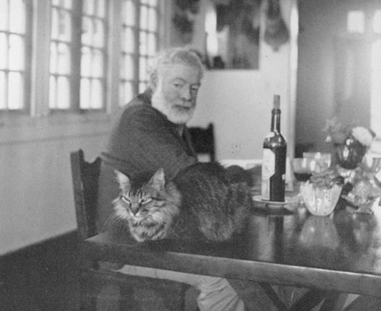 Ernest Hemingway e um de seus gatos. É um dos escritores mais famosos de todos os tempos. Escreveu O Velho E O Mar (1952) e recebeu o Nobel de Literatura em 1954.