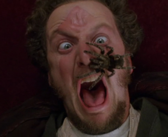Em Esqueceram de Mim 2 (1992), dirigido por Chris Columbus, o pequeno Kevin coloca uma aranha no rosto do ladrão interpretado por Daniel Stern. Em Esqueceram de Mim 2 (1992), dirigido por Chris Columbus, o pequeno Kevin coloca uma aranha no rosto do ladrão interpretado por Daniel Stern.