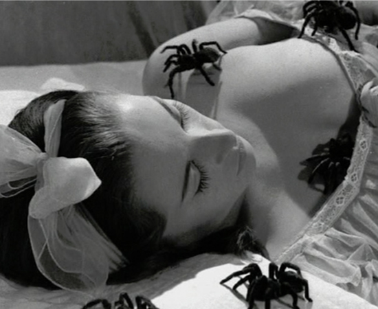 Em Esta noite encarnarei no teu cadáver (1967), dirigido pelo célebre Zé do Caixão, uma donzela passa pelo teste do medo: um cruel ataque de tarântulas. Em Esta noite encarnarei no teu cadáver (1967), dirigido pelo célebre Zé do Caixão, uma donzela passa pelo teste do medo: um cruel ataque de tarântulas.