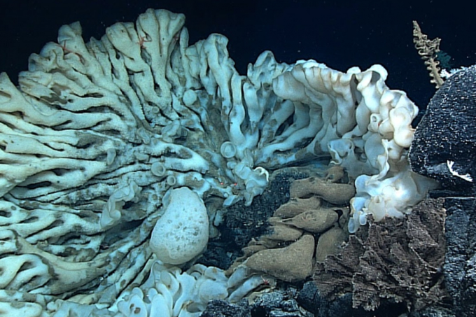 Divulgação | National Oceanic and Atmospheric Administration