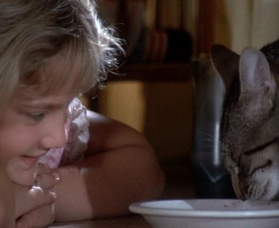 OLHOS DE GATO (Cat’s Eye - 1985) - Um gato misterioso interliga três histórias de terror. Enquanto uma menina é aterrorizada por um monstro, um homem descobre que parar de fumar vai ser um grande pesadelo, e um jogador de tênis é forçado a participar de uma disputa mortal. O roteiro é inspirado em dois contos de Stephen King e em um texto original do autor.