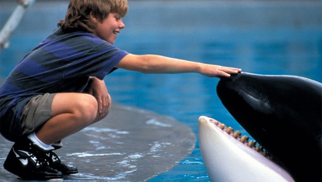 Animais e ecologia eram mesmo receita de sucesso. <em>Free Willy </em>(1993), contava a história da amizade entre um menino e uma orca, e ainda falava dos problemas da poluição marinha.
