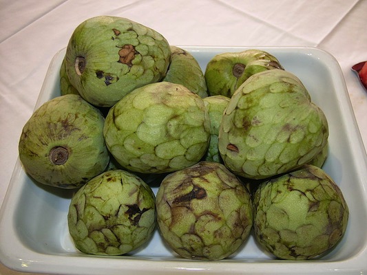 Esta é a chirimoya, uma fruta de origem andina, tem a casca verde e áspera, polpa branca e sabor que mistura o ácido e o doce.