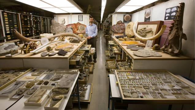 Coleção de paleobiologia Coleção de paleobiologia