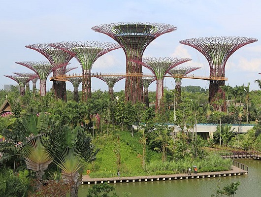 Cingapura já parece um lugar de outro mundo há anos, mas recentemente a cidade-Estado se superou. Inaugurado em 2012, o Gardens by the Bay (Jardins da Baía) é um complexo de estufas e jardins. Esse imenso jardim botânico futurista faz parte da estratégia do governo local para deixar a cidade ainda mais verde.