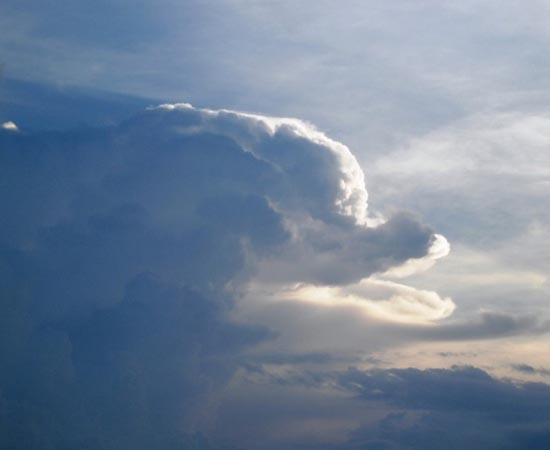 Esta nuvem que parece um golfinho foi encontrada no céu de Phnom Pehn, no Camboja.