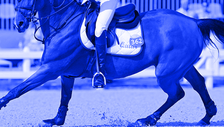 Como funciona o Hipismo paralímpico