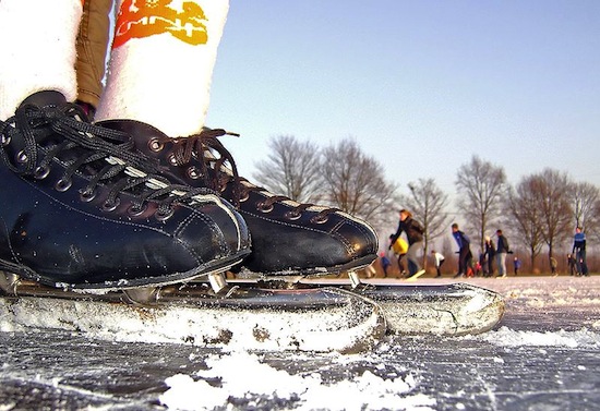 Patins de gelo