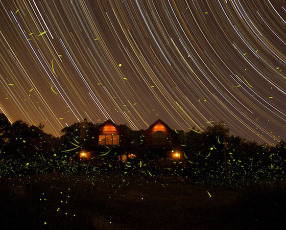 Entre as menções honrosas da categoria ficou esta foto, batizada de Summer Nights in Michigan, ou Noites de Verão em Michigan (EUA). A chuva luminosa da imagem é um truque de fotografia.