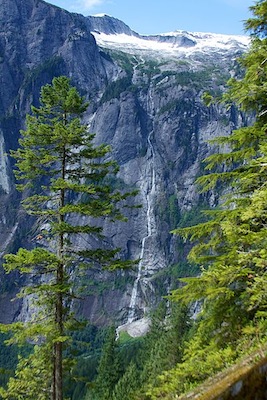 JAMES BRUCE FALLS <BR> JAMES BRUCE FALLS <BR>