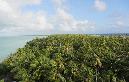 32 atóis e uma ilha formam a República do Kiribati, um país do Oceano Pacífico. A soma da área das ilhas resulta num tamanho pouco maior do que a cidade de Nova York. No entanto, o território oceânico de Kiribati é 4 mil vezes maior - é considerado uma das maiores áreas de proteção do mundo. 32 atóis e uma ilha formam a República do Kiribati, um país do Oceano Pacífico. A soma da área das ilhas resulta num tamanho pouco maior do que a cidade de Nova York. No entanto, o território oceânico de Kiribati é 4 mil vezes maior - é considerado uma das maiores áreas de proteção do mundo.