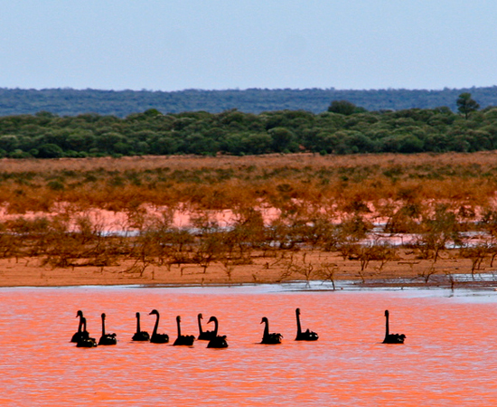 Outra maravilha natural da Austrália é o Lago Rosa, localizado no oeste do país. Ele tem esta cor inusitada por causa da alta concentração de algas e bactérias. Incrível, não?