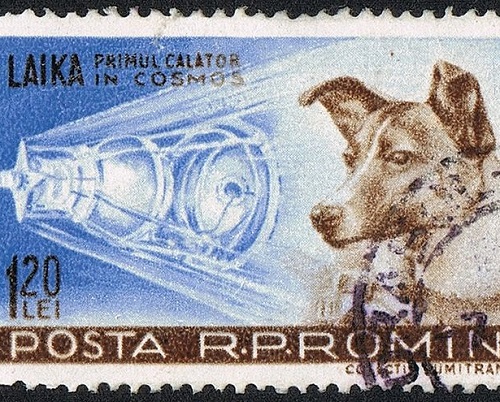 A Guerra Fria causou uma verdadeira corrida espacial. Quem saiu na frente foi a União Soviética, que em 1957 colocou a cadela Laika no espaço. Ela ganhou fama mundial, mas morreu no espaço. A Guerra Fria causou uma verdadeira corrida espacial. Quem saiu na frente foi a União Soviética, que em 1957 colocou a cadela Laika no espaço. Ela ganhou fama mundial, mas morreu no espaço.