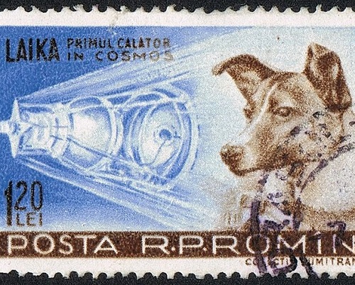 A Guerra Fria causou uma verdadeira corrida espacial. Quem saiu na frente foi a União Soviética, que em 1957 colocou a cadela Laika no espaço. Ela ganhou fama mundial, mas morreu no espaço.