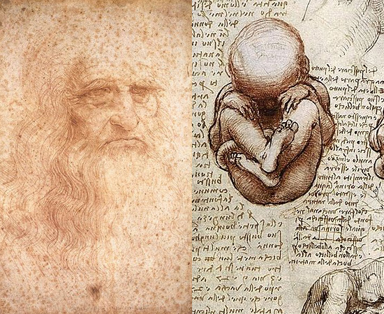 ESTUDOS DE ANATOMIA - Leonardo Da Vinci, mais célebre dos inventores da Renascença, prestou inúmeras contribuições à Ciência em vários campos do conhecimento. Uma das áreas mais exploradas pelo cientista foi a Anatomia. Da Vinci foi o primeiro a descrever alguns detalhes do corpo humano, como a posição do feto no ventre materno.