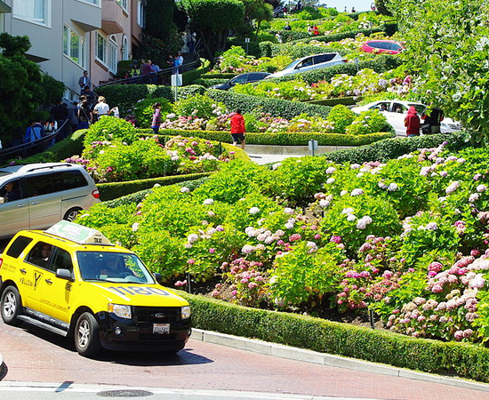 LOMBARD STREET - Esta rua da cidade de São Francisco, na Califórnia (EUA), é conhecida por ser a via mais curva do mundo. O formato peculiar surgiu da tentativa de facilitar o acesso à colina, que era considerada muito íngreme.