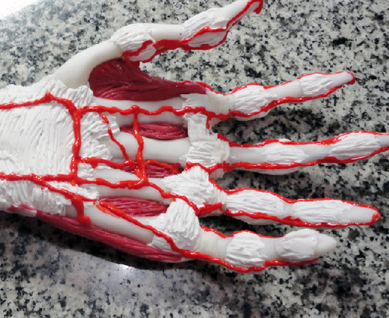 Réplica de mão humana feita pelo fisioterapeuta.