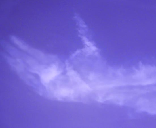 Nuvem com formato de mão no céu de Nova Jérsei, nos EUA. Nuvem com formato de mão no céu de Nova Jérsei, nos EUA.