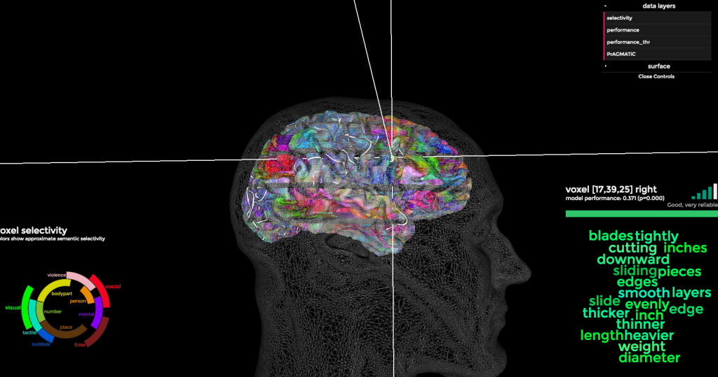 mapa cerebro 3d
