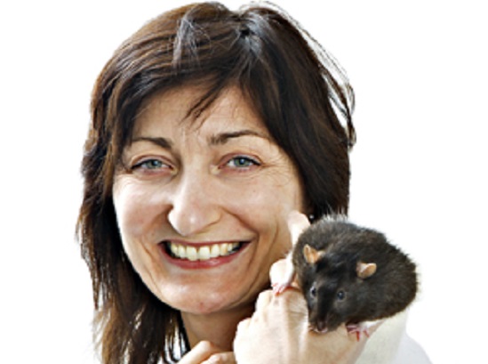 Ele dividiu o prêmio com a esposa, a cientista May-Britt Moser, e também com o britânico John OKeefe. Ele dividiu o prêmio com a esposa, a cientista May-Britt Moser, e também com o britânico John OKeefe.